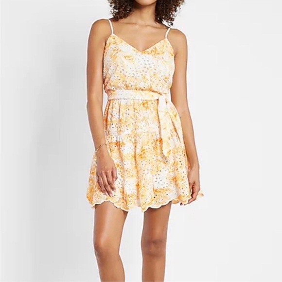NWT Exress Printed Eyelet V Neck Tie Waist Tiered Trapeze Dress Size XS - Picture 1 of 14